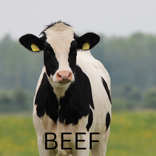 Beef